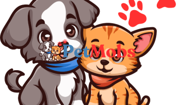 Petmobs.com ile Hayvan Sahiplendirmek Artık Daha Kolay!