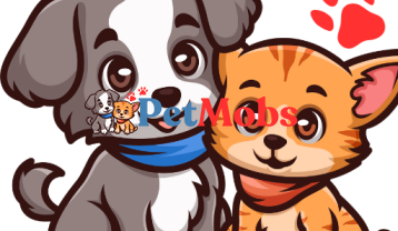 PetMobs.com | Kedi Sahiplendirme İlanı Nasıl Verilir? Bilmeniz Gerekenler
